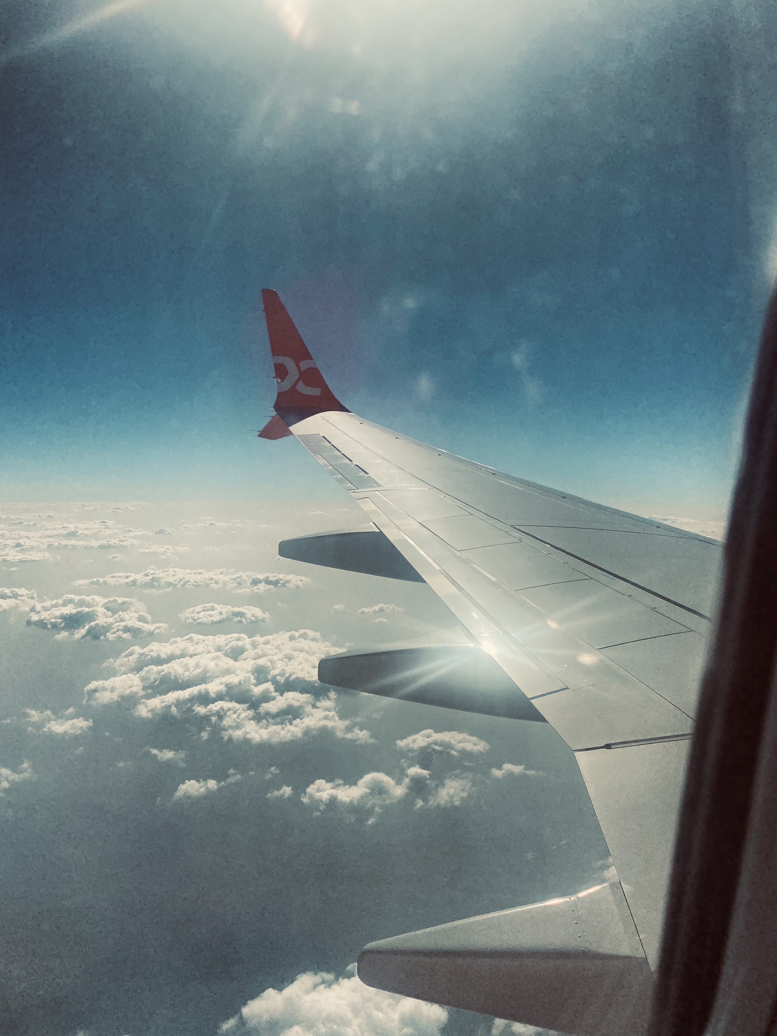Photo of a Pony in Exmoor, England
