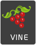 Vine logo